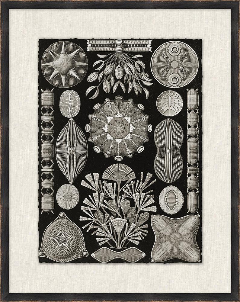Wendover Art Group - Sea Collage 2, Distressed Black - WVT1541 veiw 1