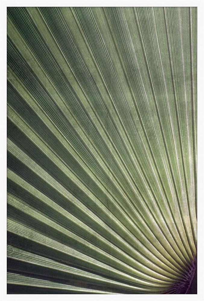 Wendover Art Group - Silver Palmetto 1, Matte White - WPH1502 veiw 1