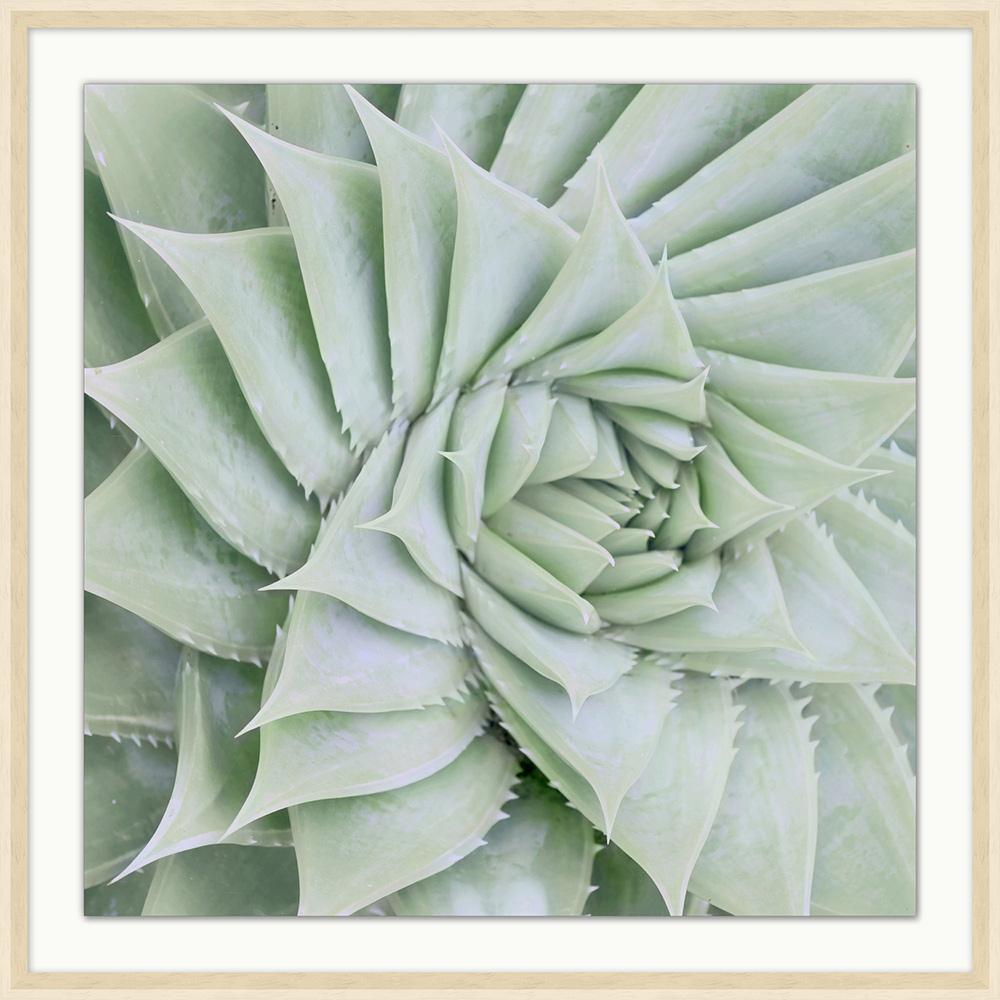 Wendover Art Group - Soft Succulent 3, Off-White Woodgrain - WPH1631 veiw 1