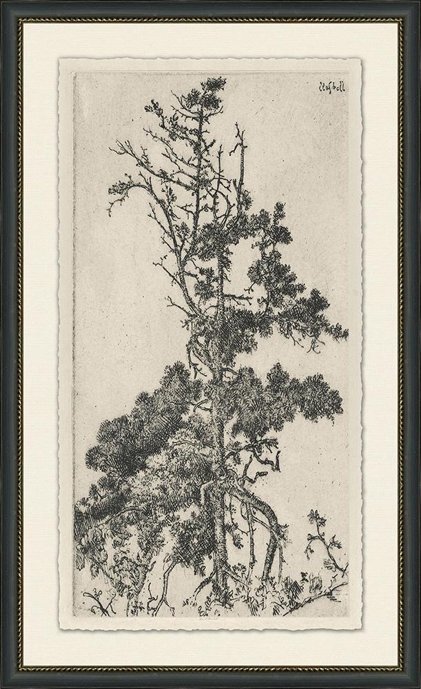 Wendover Art Group - Tree Tops 5, Black - WLD1080 veiw 1