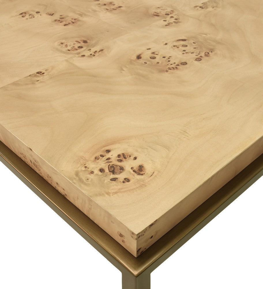 Worlds Away - Antique Brass Frame Coffee Table With Thick Top In Burl Wood - HARDWICK BW view 5