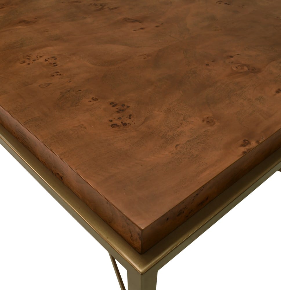Worlds Away - Antique Brass Frame Coffee Table With Thick Top In Dark Burl Wood - HARDWICK DBW view 3