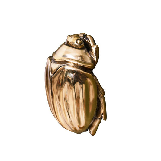 Worlds Away - Beetle Knob In Brass - FORTUNE HABR view 2
