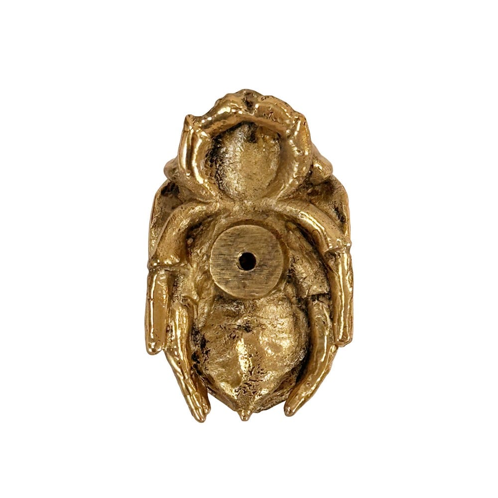 Worlds Away - Beetle Knob In Brass - FORTUNE HABR view 3