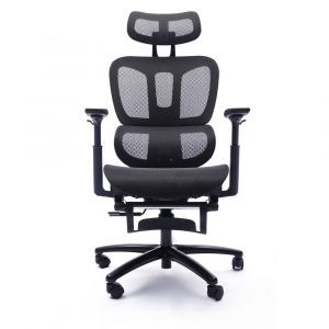 Office Chairs by Primo International