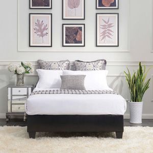 Picket House Furnishings Collections