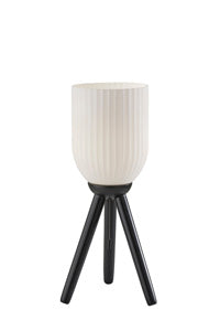 Adesso Home Kinsley Collection