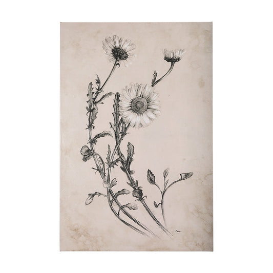 Mercana Wildflower Collection