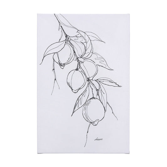 Mercana Fruit Collection