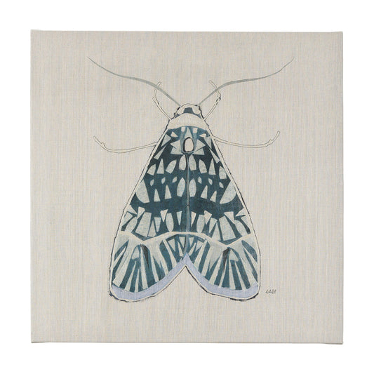 Mercana Moth Collection