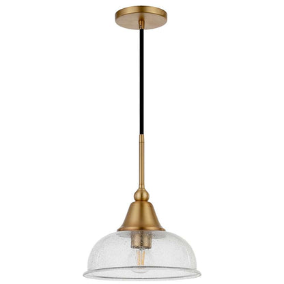 Hudson & Canal - Magnolia 10.75in Wide Pendant with Glass Shade in Brass/Seeded - PD0524 veiw 4