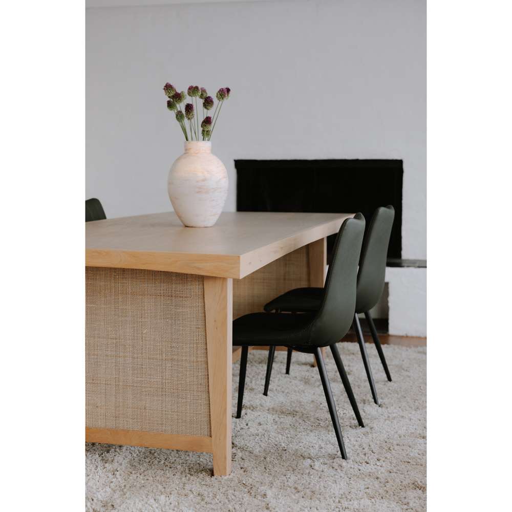 Moes Home - Alibi Dining Chair Dark Green (Set of 2) - UU-1022-27 veiw 8