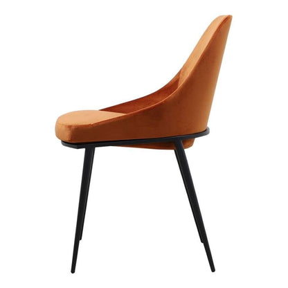Moes Home - Sedona Dining Chair in Amber (Set of 2) - EJ-1034-12 veiw 3