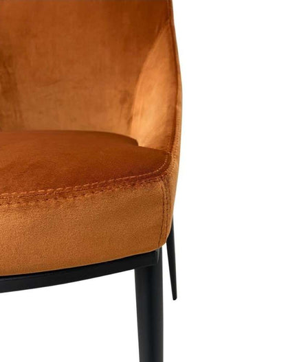 Moes Home - Sedona Dining Chair in Amber (Set of 2) - EJ-1034-12 veiw 5
