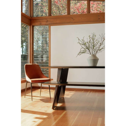 Moes Home - Sedona Dining Chair in Amber (Set of 2) - EJ-1034-12 veiw 6