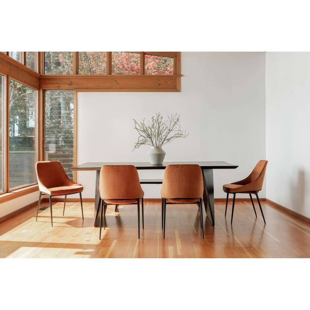 Moes Home - Sedona Dining Chair in Amber (Set of 2) - EJ-1034-12 veiw 7