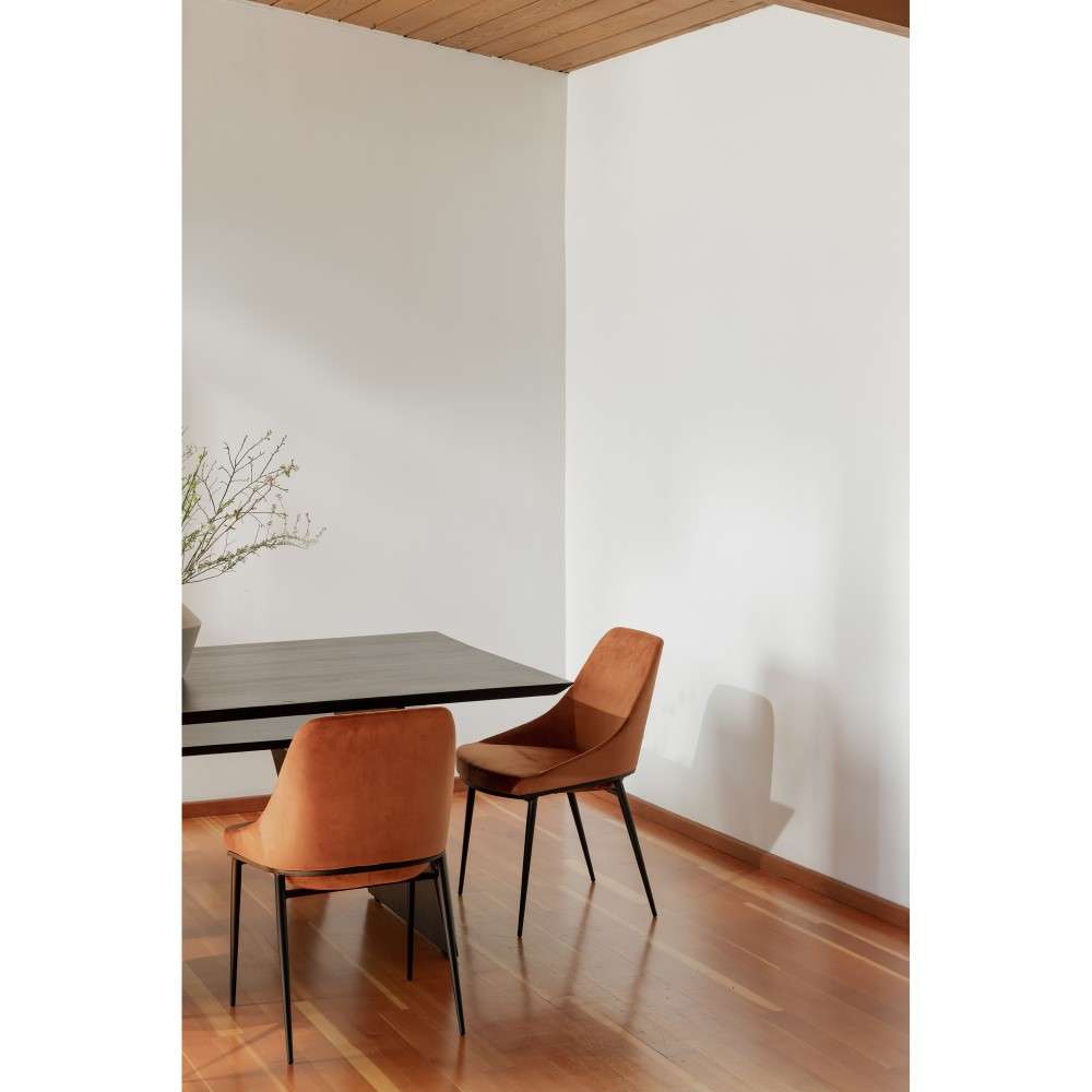 Moes Home - Sedona Dining Chair in Amber (Set of 2) - EJ-1034-12 veiw 8
