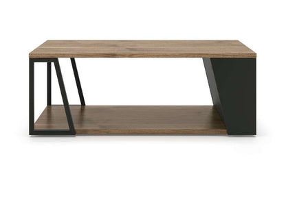 TEMAHOME - Albi Coffee Table in Walnut / Black - 9003629921 veiw 1
