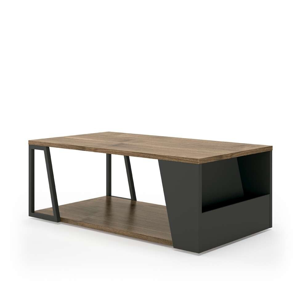 TEMAHOME - Albi Coffee Table in Walnut / Black - 9003629921 veiw 2