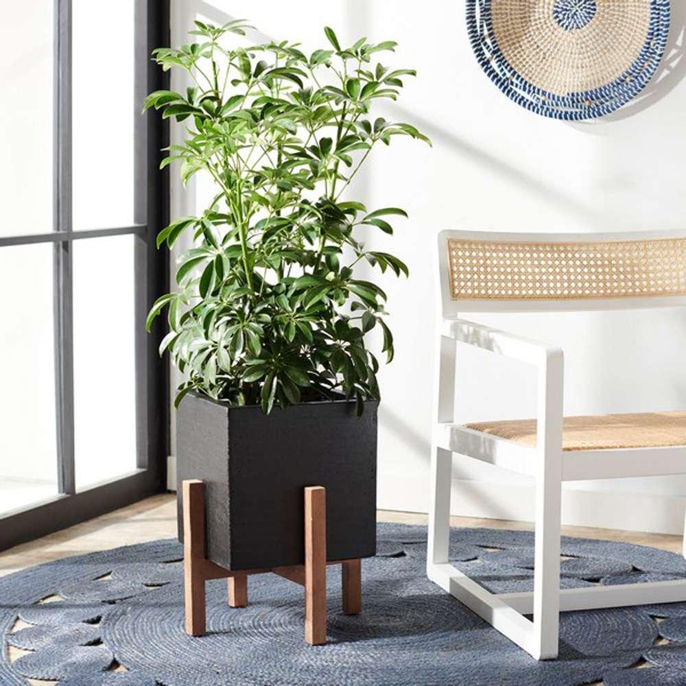 Safavieh - Borsla Planter - Black - PAT1512A veiw 2