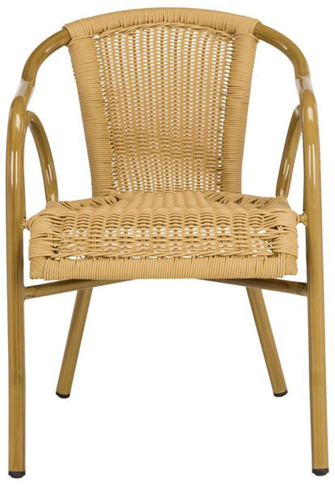 Safavieh - Dagny Arm Chair - Natural  (Set of 2) - PAT4000B-SET2 veiw 2