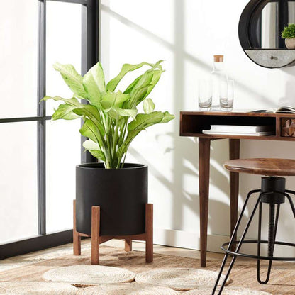 Safavieh - Jesper Planter - Black - PAT1514A veiw 2