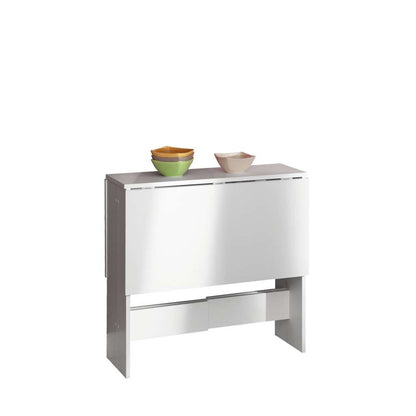TEMAHOME - Papillon Foldable Table in White  - E2050A2100X00 veiw 4