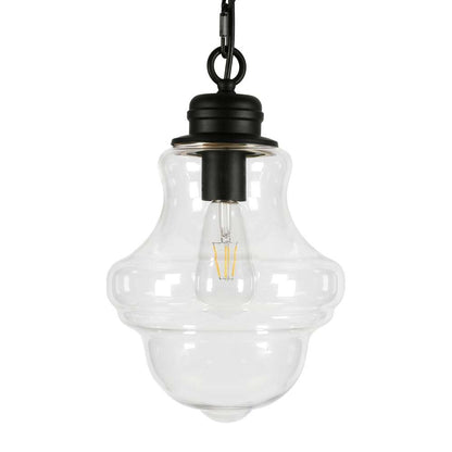 Hudson & Canal - Annie 9.13in Wide Pendant with Glass Shade in Blackened Bronze/Clear - PD0458 veiw 3
