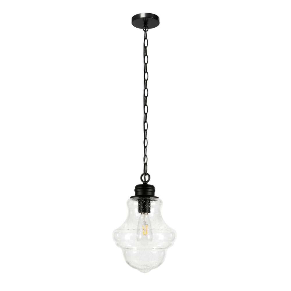 Hudson & Canal - Annie 9.13in Wide Pendant with Glass Shade in Blackened Bronze/Seeded - PD0459 veiw 1