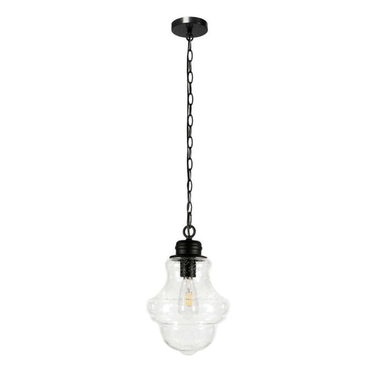 Hudson & Canal - Annie 9.13in Wide Pendant with Glass Shade in Blackened Bronze/Seeded - PD0459 veiw 1