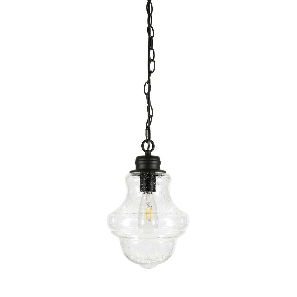 Hudson & Canal - Annie 9.13in Wide Pendant with Glass Shade in Blackened Bronze/Seeded - PD0459 veiw 3