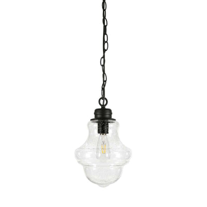 Hudson & Canal - Annie 9.13in Wide Pendant with Glass Shade in Blackened Bronze/Seeded - PD0459 veiw 3