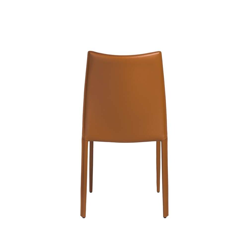 Euro Style - Dalia Stacking Side Chair in Cognac (Set of 2) - 02350COG-MP2 veiw 5