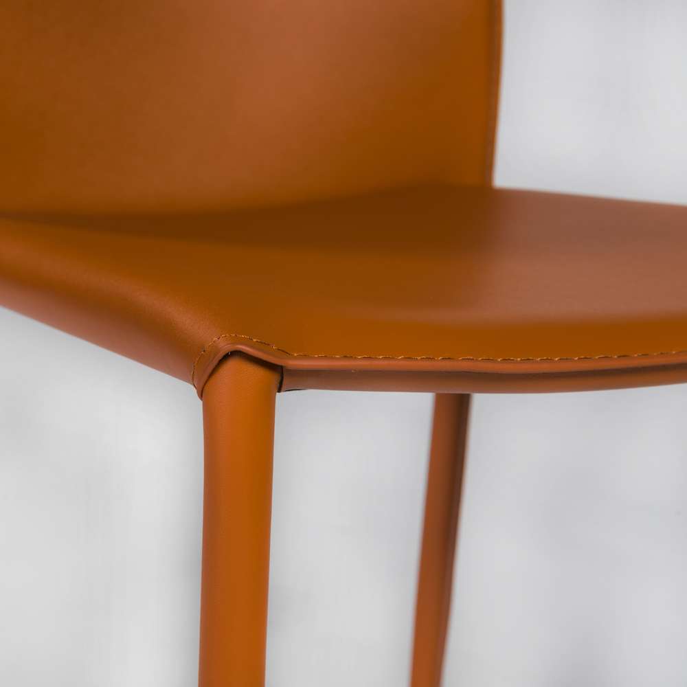 Euro Style - Dalia Stacking Side Chair in Cognac (Set of 2) - 02350COG-MP2 veiw 6