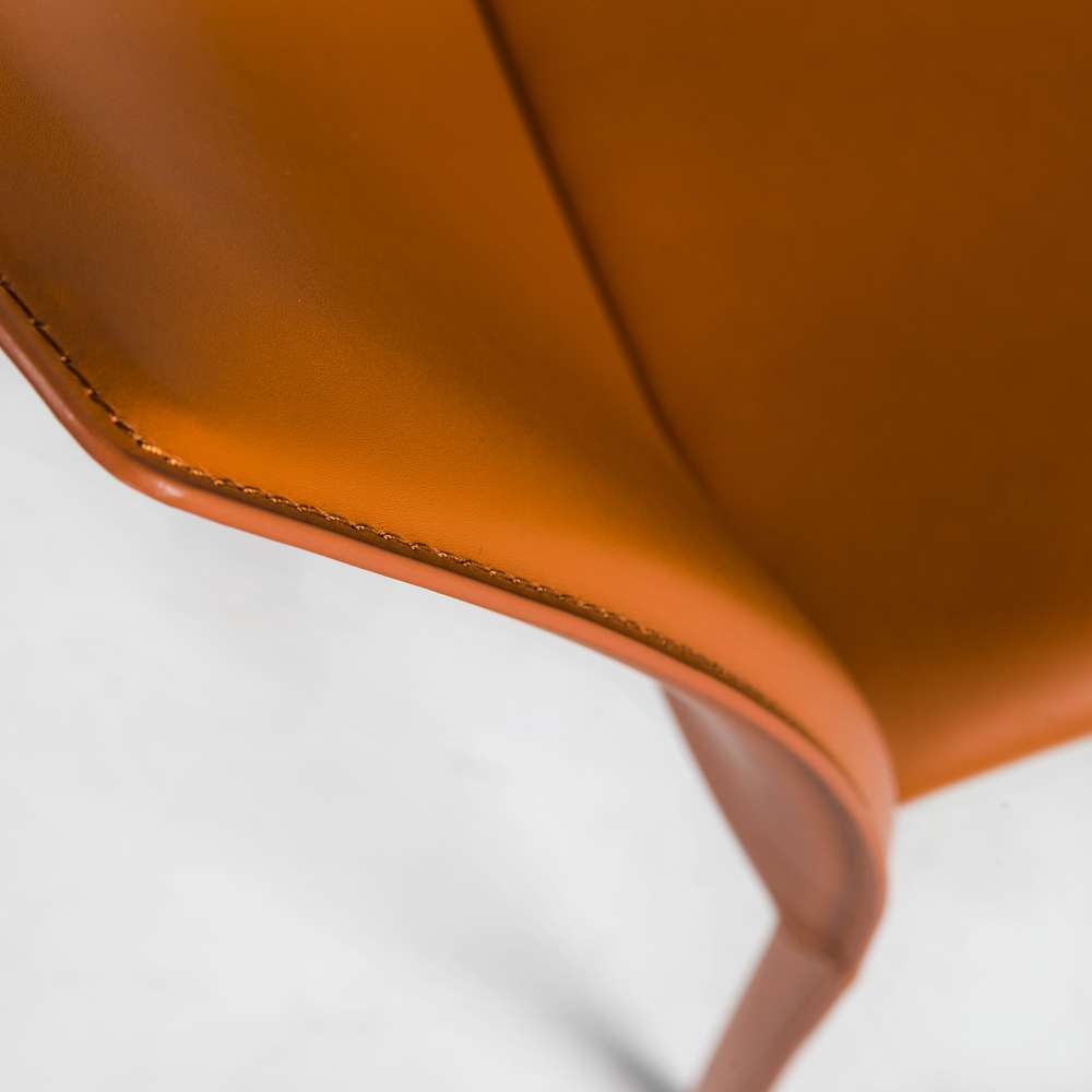 Euro Style - Dalia Stacking Side Chair in Cognac (Set of 2) - 02350COG-MP2 veiw 7