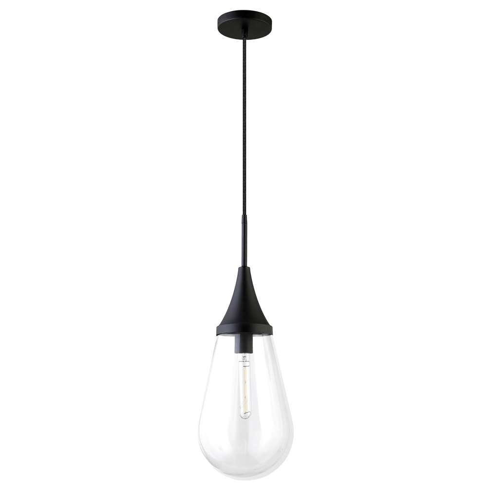 Hudson & Canal - Ambrose 8.63in Wide Pendant with Glass Shade in Blackened Bronze/Clear - PD1471 veiw 1