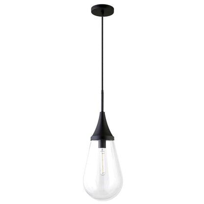Hudson & Canal - Ambrose 8.63in Wide Pendant with Glass Shade in Blackened Bronze/Clear - PD1471 veiw 1