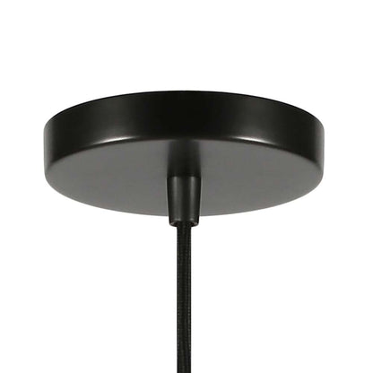Hudson & Canal - Zariza 8in Wide Pendant with Glass Shade in Blackened Bronze/Clear - PD0610 veiw 4