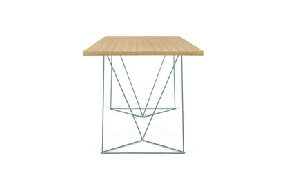TEMAHOME - Flow Desk in Oak / Sea Green Lacquered Steel - 9500053245 veiw 5