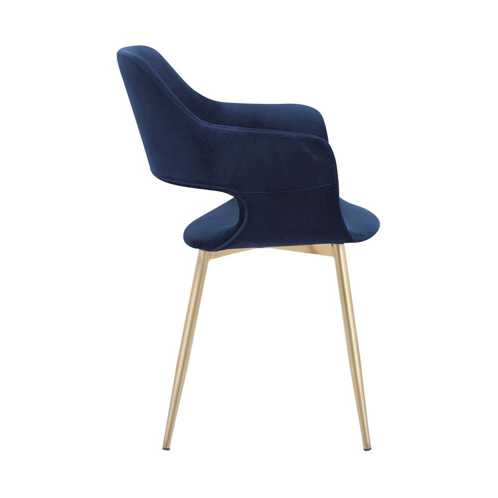 Armen Living - Gigi Blue Velvet Dining Room Chair with Gold Metal Legs (Set of 2) - LCGICHBLUE veiw 4