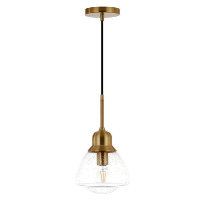 Hudson & Canal - Brooks 8.12in Wide Pendant with Glass Shade in Brass/Seeded - PD0605 veiw 1