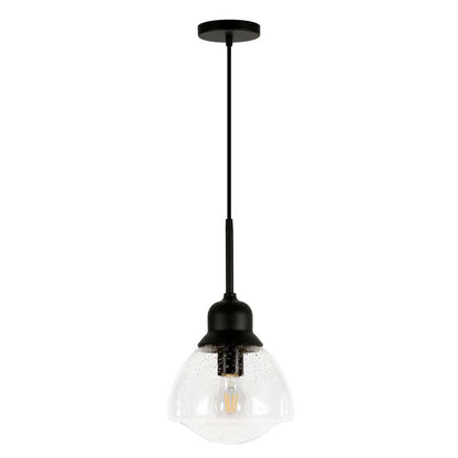 Hudson & Canal - Brooks 8.12in Wide Pendant with Glass Shade in Blackened Bronze/Seeded - PD0604 veiw 1