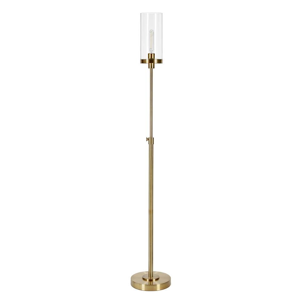 Hudson & Canal - Frieda 66in Tall Floor Lamp with Glass Shade in Brass/Clear - FL0309 veiw 1