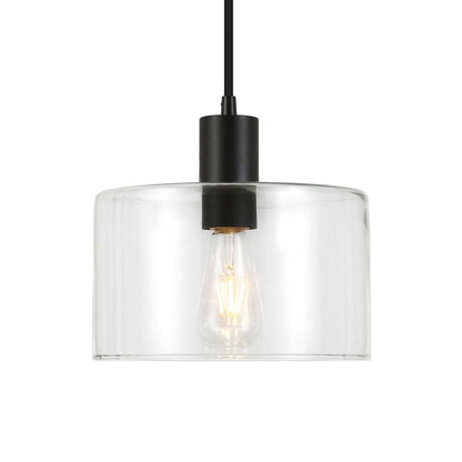 Hudson & Canal - Henri 10in Wide Pendant with Glass Shade in Blackened Bronze/Clear - PD0097 veiw 3