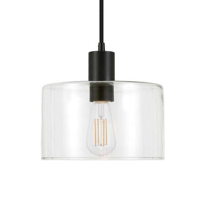 Hudson & Canal - Henri 10in Wide Pendant with Glass Shade in Blackened Bronze/Clear - PD0097 veiw 4