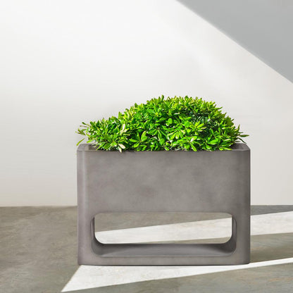 Armen Living - Sunstone Indoor or Outdoor Planter in Grey Concrete - LCSEPLMDGR veiw 7