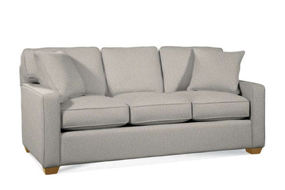 Braxton Culler - Gramercy Park Queen Sleeper Sofa (Brown Crypton Performance Fabric) - 787-015 veiw 1