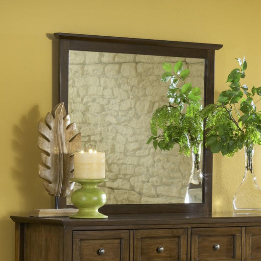 Modus Furniture - Paragon Mirror in Truffle - 4N3583 veiw 1