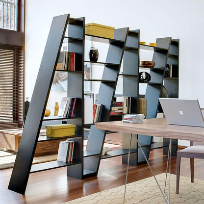 TEMAHOME - Delta Bookcase in Pure Black - 9500315411 veiw 5