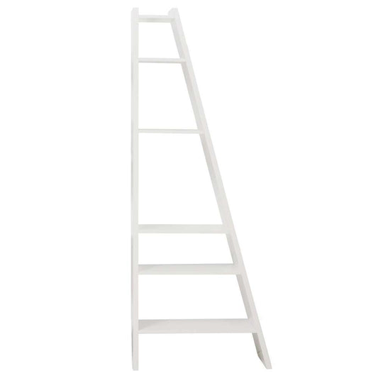 TEMAHOME - Delta Bookcase in Pure White - 9500315305 veiw 1